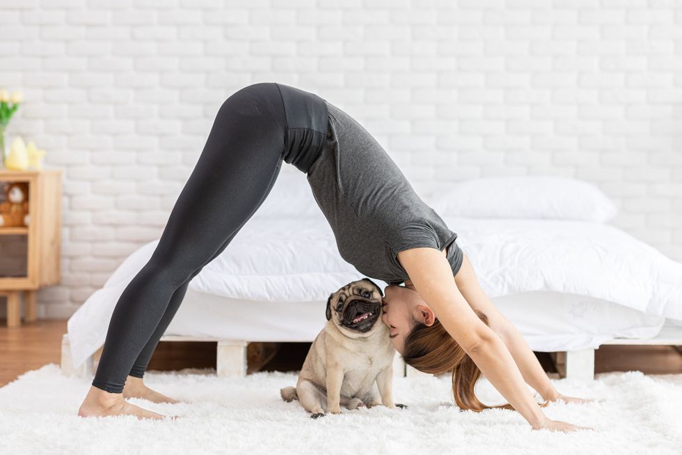 A woman does downward dog on a fluffy white rug in her bedroom. Her pug sits underneath her, and she gives it an upside down kiss.