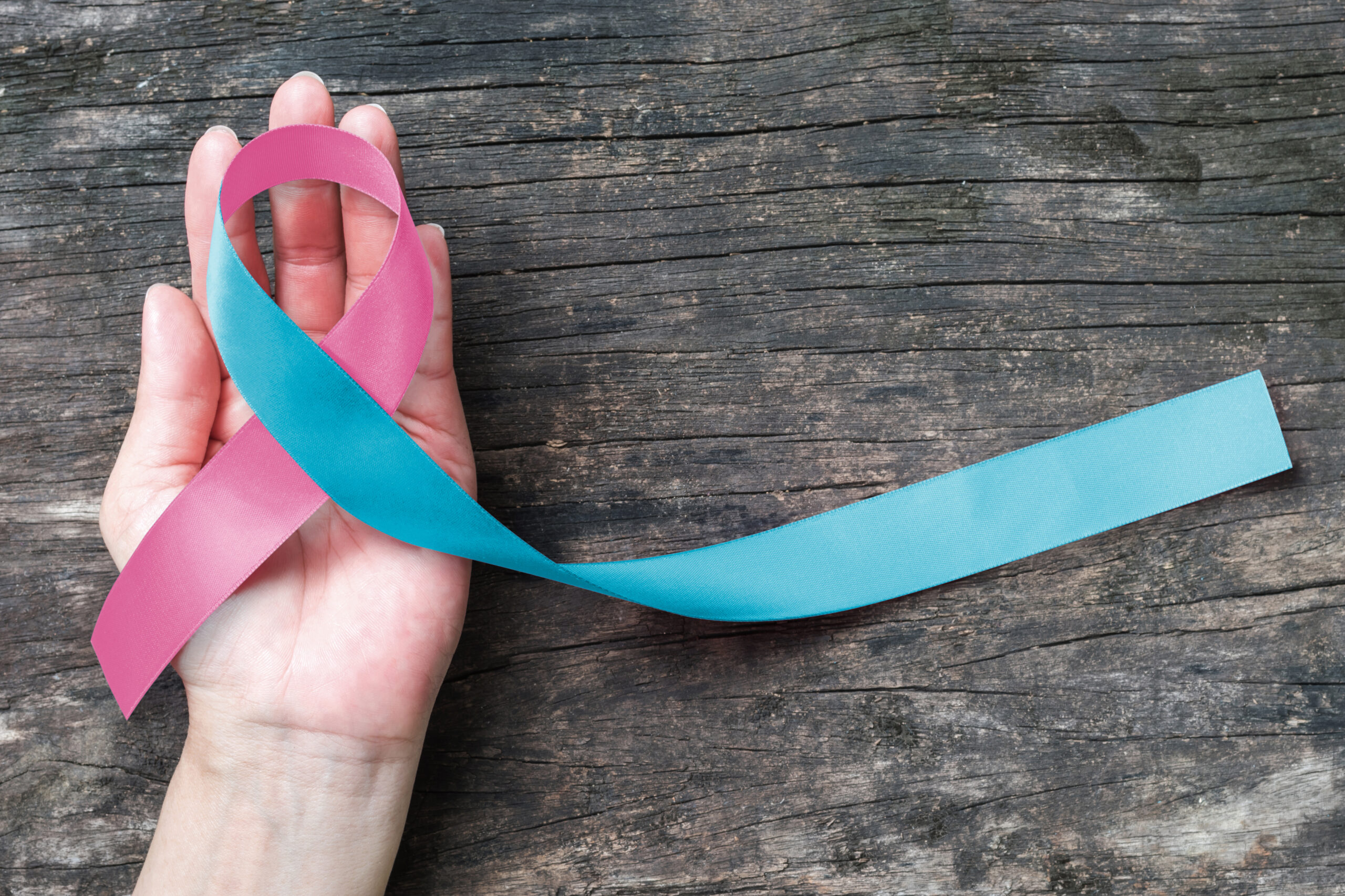 Pink blue ribbon awareness (isolated with clipping path) bow color for newborn birth defect, Sudden Infant Death Syndrome (SIDS), pregnancy Loss on helping hand